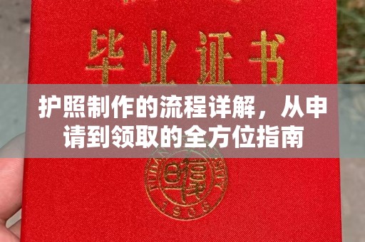 阜南护照制作的流程详解，从申请到领取的全方位指南